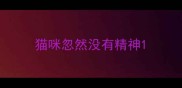 猫咪忽然没有精神
