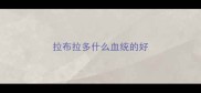 拉布拉多什么血统的好