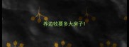 养边牧要多大房子
