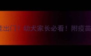 打完疫苗能出门幼犬家长必看附疫苗后全攻略
