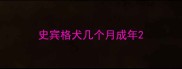 史宾格犬几个月成年