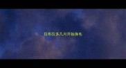 拉布拉多几月开始换毛