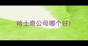 哈士奇公母哪个好