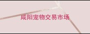 咸阳宠物交易市场