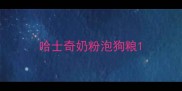哈士奇奶粉泡狗粮