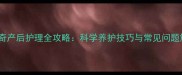 哈士奇产后护理全攻略科学养护技巧与常见问题解答