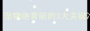 不打疫苗能绝育吗宠物绝育前的3大关键准备事项附医生建议