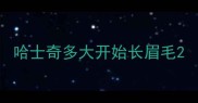 哈士奇多大开始长眉毛