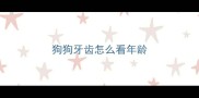 狗狗牙齿怎么看年龄