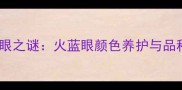 哈士奇蓝眼之谜火蓝眼颜色养护与品种特征全