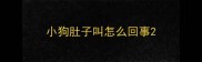 小狗肚子叫怎么回事