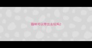 猫咪可以带出去玩吗