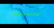 宠物美容学校加盟