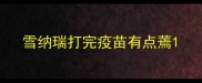 雪纳瑞打完疫苗有点蔫