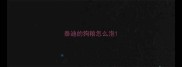 泰迪的狗粮怎么泡