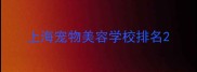 上海宠物美容学校排名