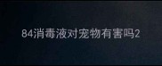 84消毒液对宠物有害吗