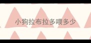 小狗拉布拉多喂多少