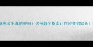 家庭养金毛真的香吗这份超全指南让你秒变狗家长