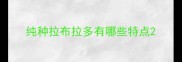 纯种拉布拉多有哪些特点