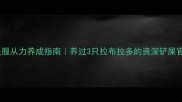 导盲犬级服从力养成指南养过3只拉布拉多的资深铲屎官血泪经验