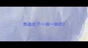 泰迪肚子一抽一抽的