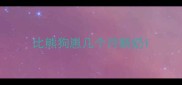 比熊狗崽几个月断奶