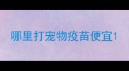 哪里打宠物疫苗便宜