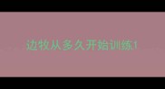 边牧从多久开始训练