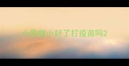 小狗细小好了打疫苗吗