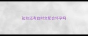 边牧还有血时交配会怀孕吗