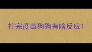 打完疫苗狗狗有啥反应