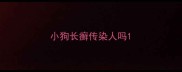 小狗长癣传染人吗