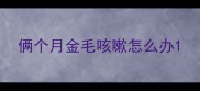 俩个月金毛咳嗽怎么办