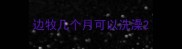 边牧几个月可以洗澡