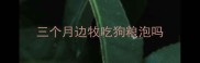 三个月边牧吃狗粮泡吗