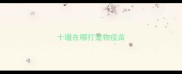 十堰在哪打宠物疫苗