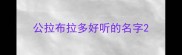 公拉布拉多好听的名字