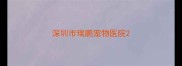 深圳市瑞鹏宠物医院