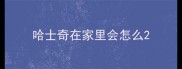 哈士奇在家里会怎么