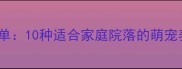 庭院宠物推荐清单10种适合家庭院落的萌宠养护指南与品种