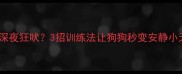 边牧犬深夜狂吠3招训练法让狗狗秒变安静小天使