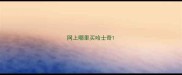 网上哪里买哈士奇