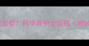 雪纳瑞毛多久能定型科学养护全流程附30天护理指南