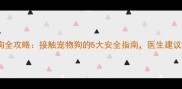 孕期养狗全攻略接触宠物狗的5大安全指南医生建议收藏