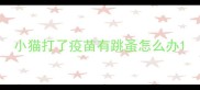 小猫打了疫苗有跳蚤怎么办