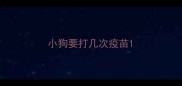小狗要打几次疫苗