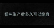 猫咪生产后多久可以绝育