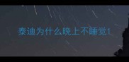 泰迪为什么晚上不睡觉