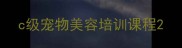 c级宠物美容培训课程